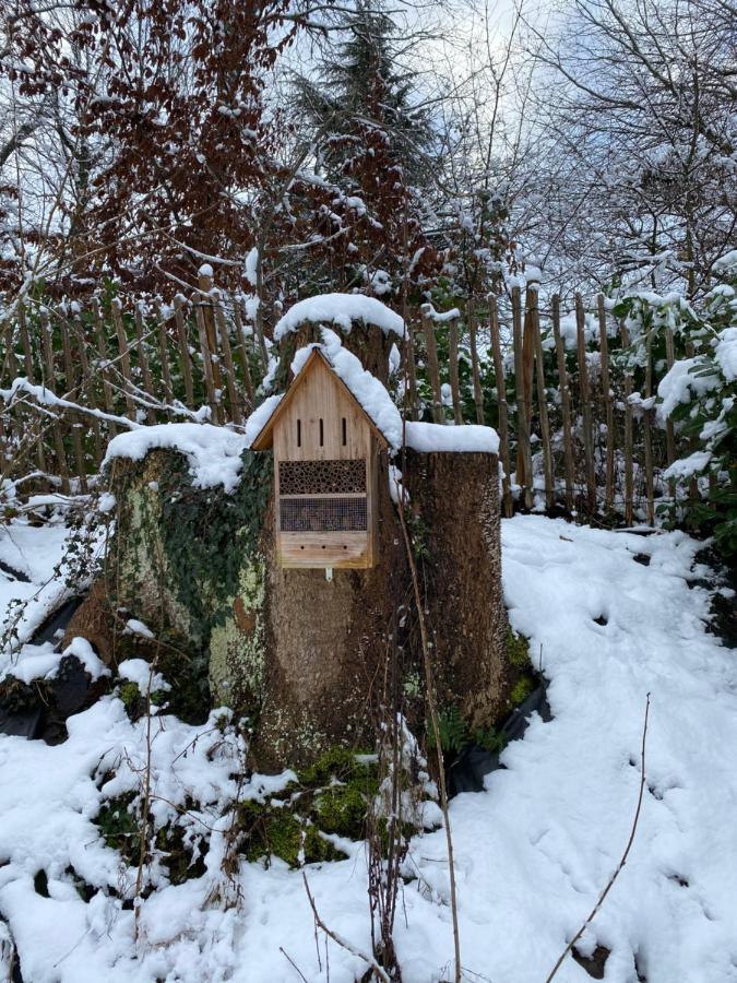 Le Retour Aux Sources - Chambre D'Hote Chaleureuse Et Conviviale ชอดฟองเตน ภายนอก รูปภาพ